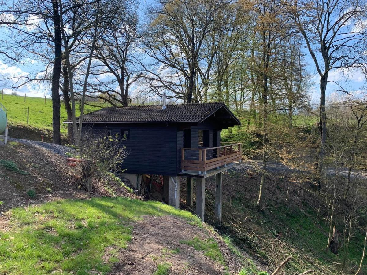 Gites Douillets : Chalet Sur Pilotis Houyet Buitenkant foto